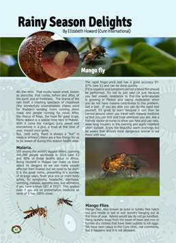 Rainy Season Delights